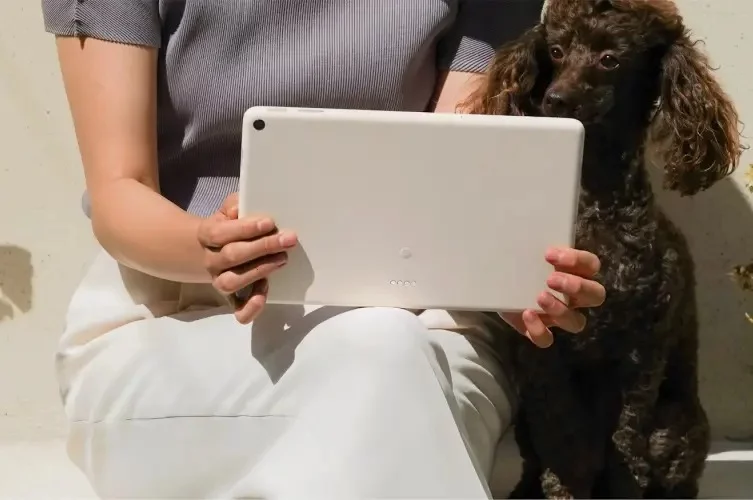 google pixel tablet smart speake