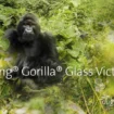 corning gorilla glass victus 2 1