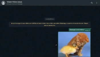 fonction message pour vous whatsapp est maintenant disponible