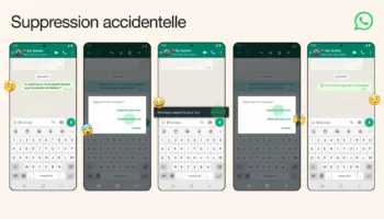 319805725 1338654513603329 7665051851142383432 n