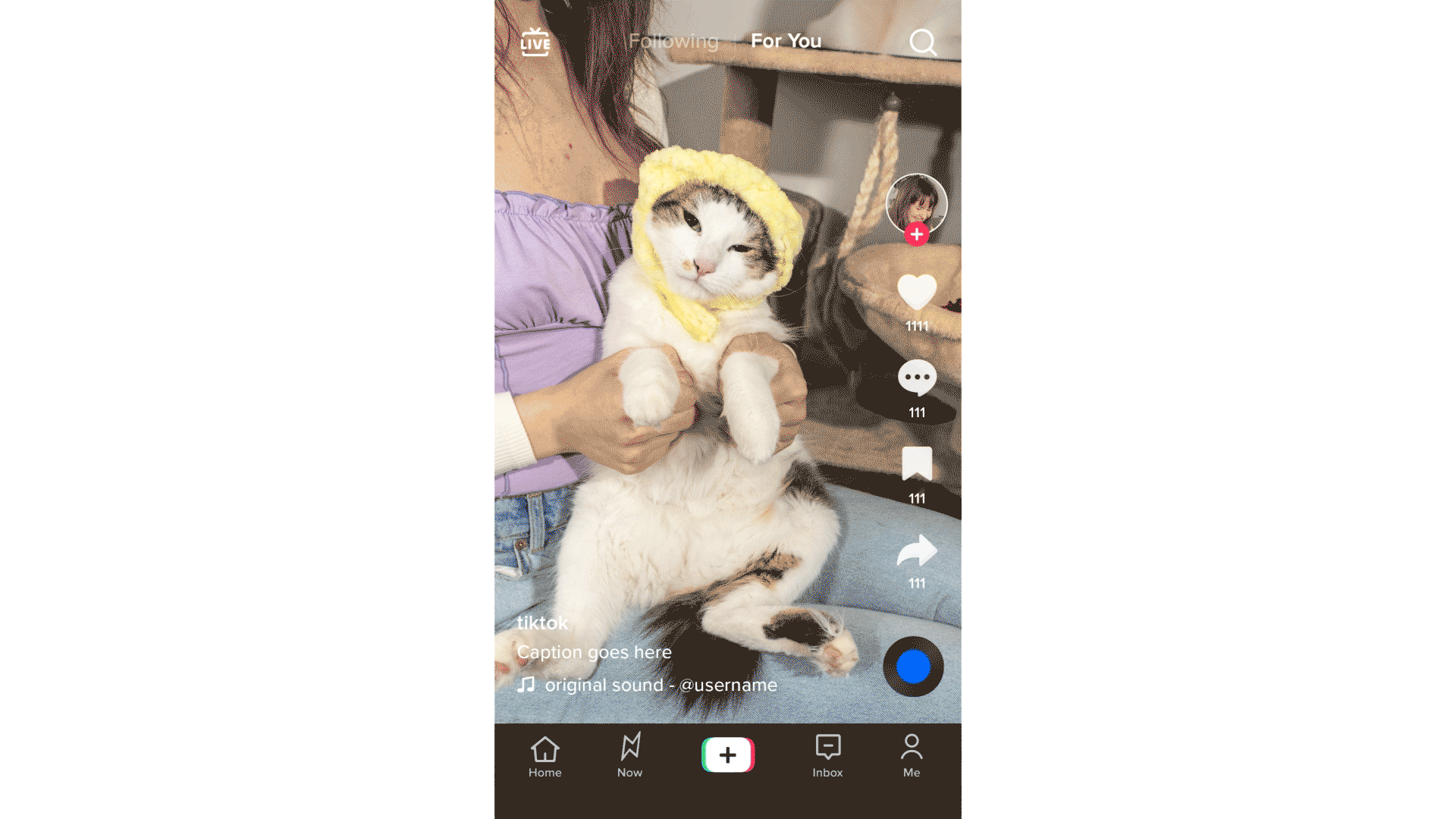 TikTok vous permettra bientôt de voir pourquoi il vous a recommandé une vidéo spécifique 50 8005c5d7d9845d11bdf7d41533181834
