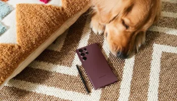 DAFE71F7049871ABA038CD9F20880BF8