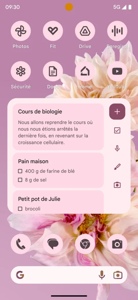 Les Pixel 7 bénéficient aujourd'hui d'un VPN gratuit, et d'autres améliorations 58 Fonds d ecran Floraison animee 3