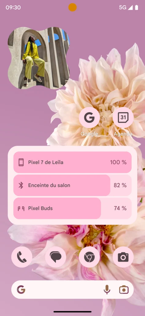 Les Pixel 7 bénéficient aujourd'hui d'un VPN gratuit, et d'autres améliorations 55 Fonds d ecran Floraison animee 4