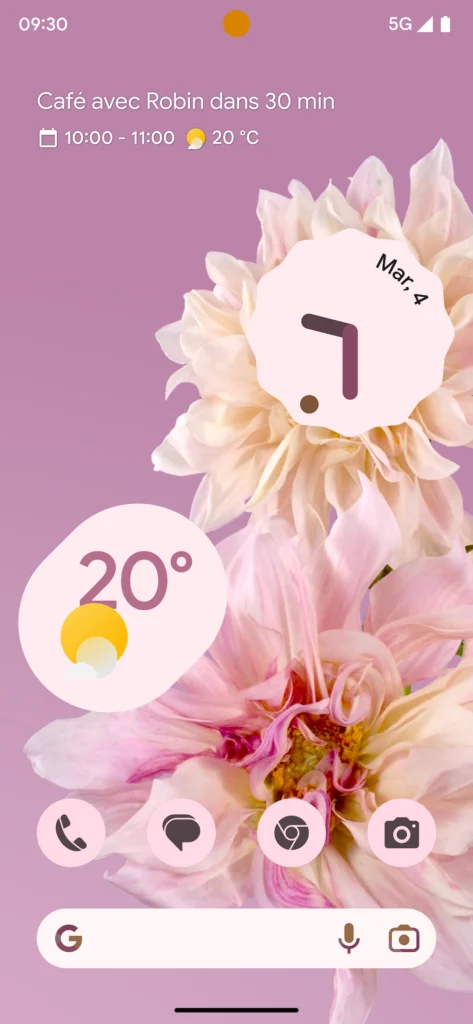 Les Pixel 7 bénéficient aujourd'hui d'un VPN gratuit, et d'autres améliorations 56 Fonds d ecran Floraison animee