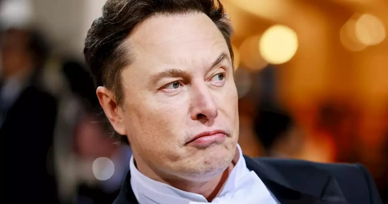 opinion elon musk just picked a jpg