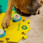 FluentPet Connect Lifestyle 2