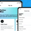 Twitter Blue subscription launch