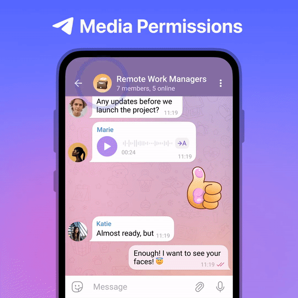 Telegram Granular Media Permissions