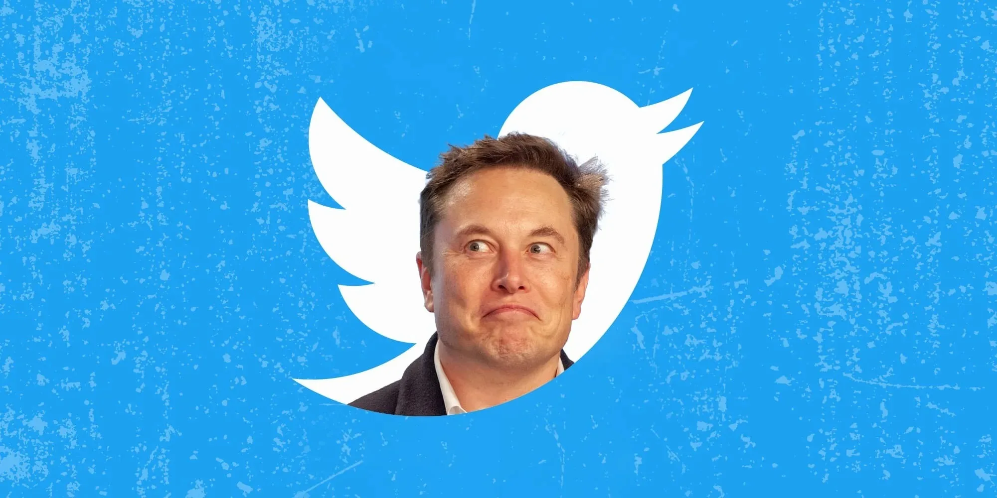 elon musk twitter jpg