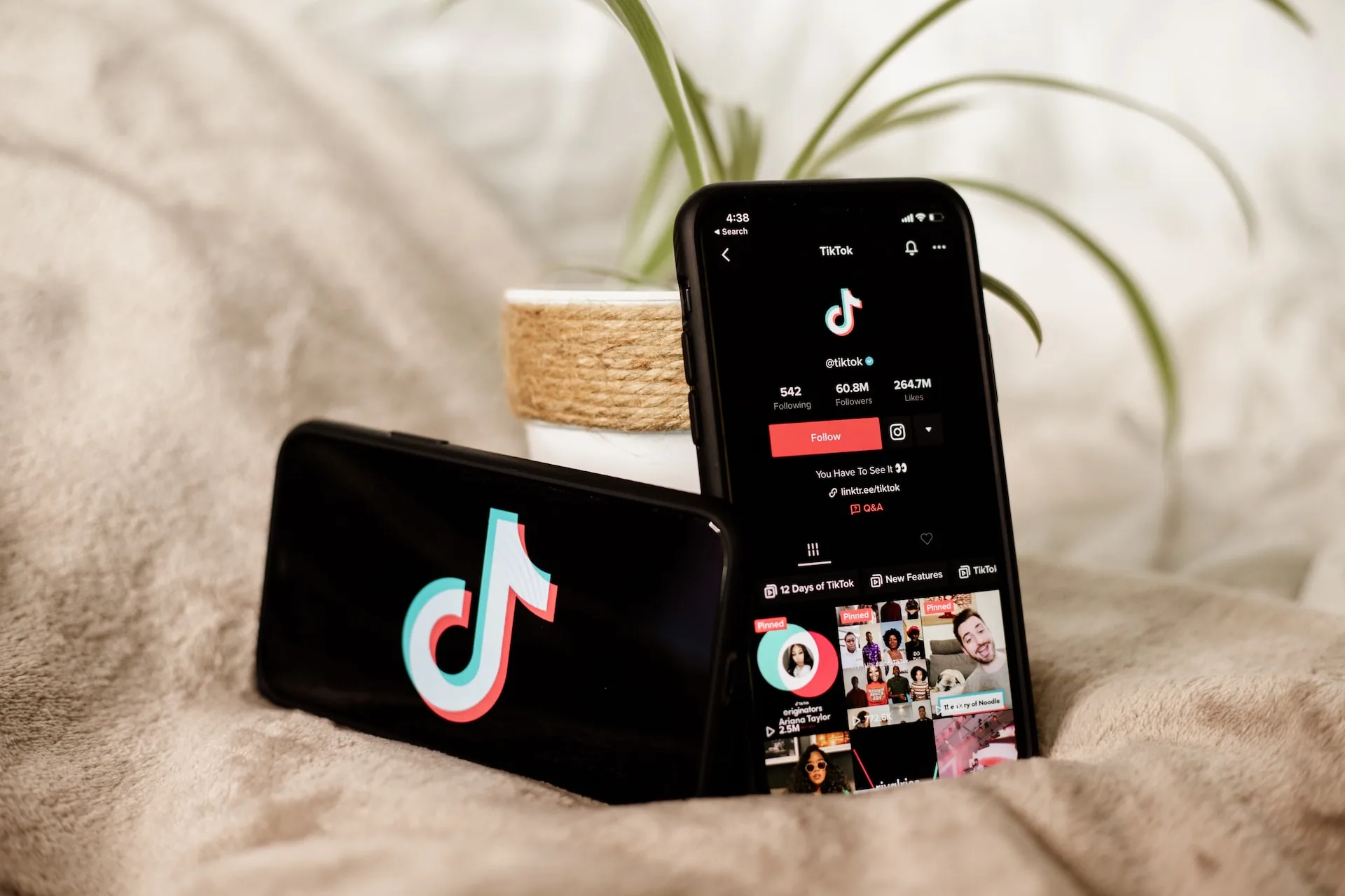 The French government bans recreational apps on government devices, such as TikTok