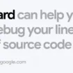 Bard Coding Credit Google