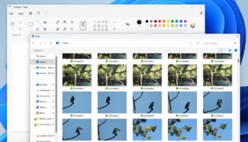 Gallery 2 CFD 1024x688 1