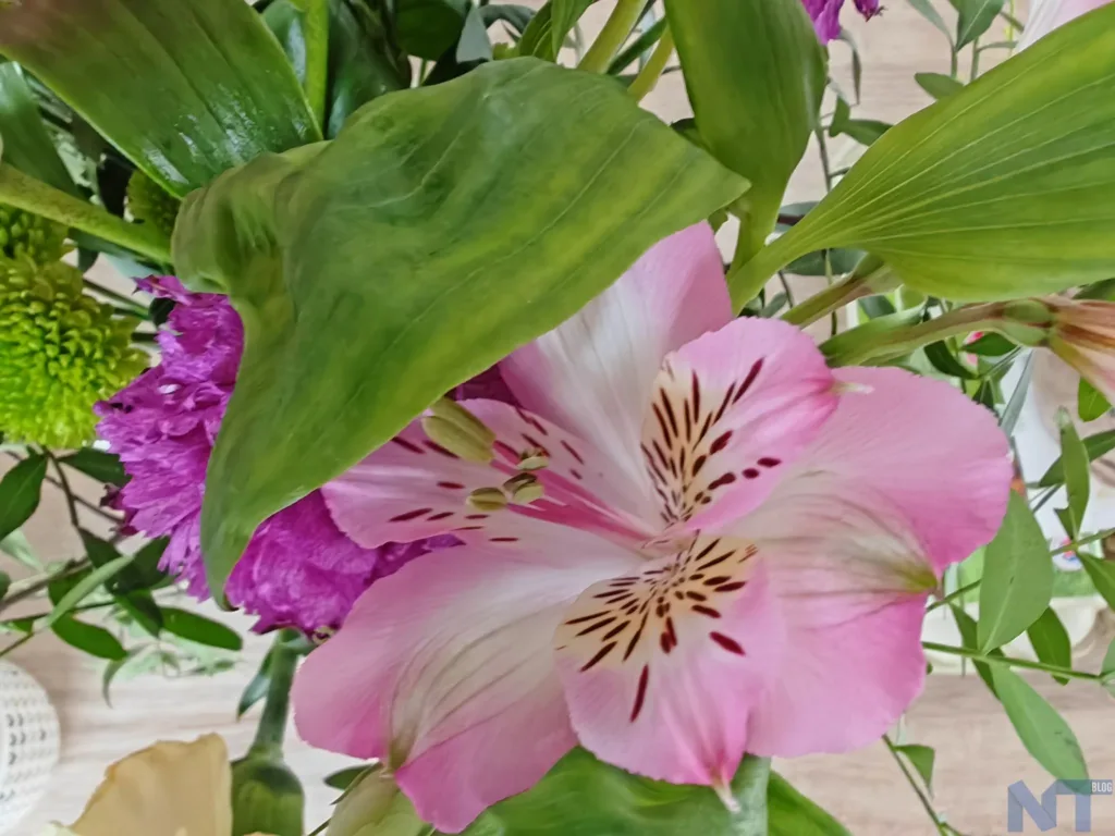 Test du Honor Magic5 Pro : polyvalent, puissant et beau 72 Honor Magic5 Pro P 1