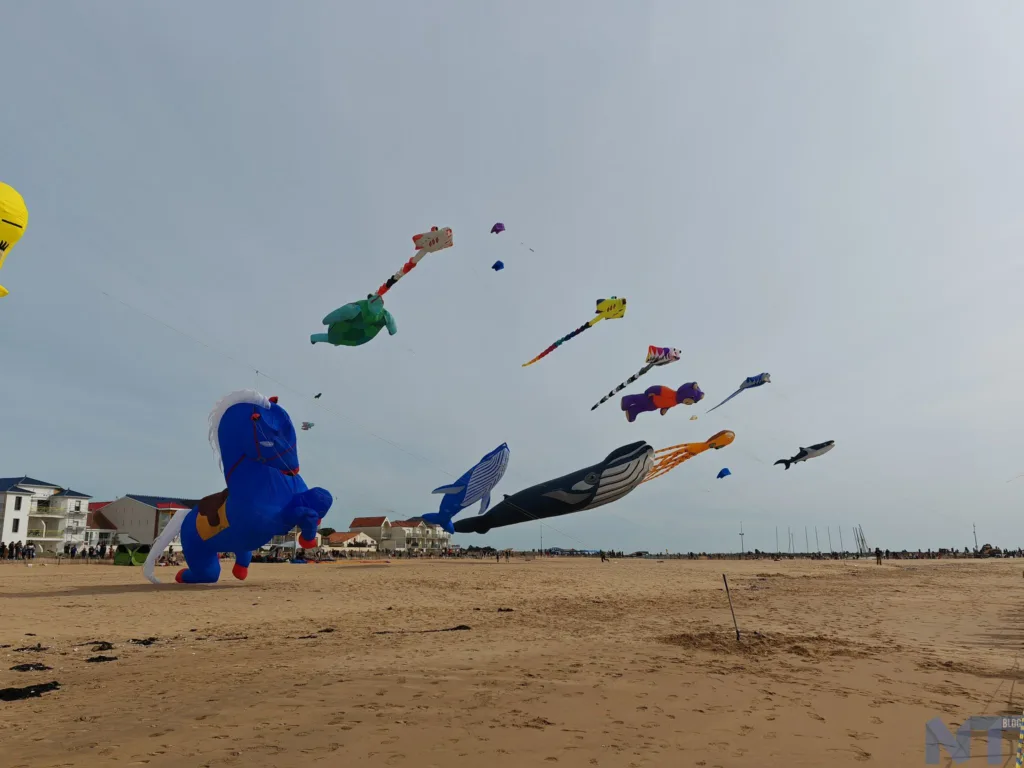 Test du Honor Magic5 Pro : polyvalent, puissant et beau 48 Honor Magic5 Pro P 25