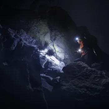 20221205 Hero ROD 3868 RGB