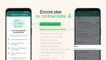 346651615 666232761993978 1456462171306923565 n