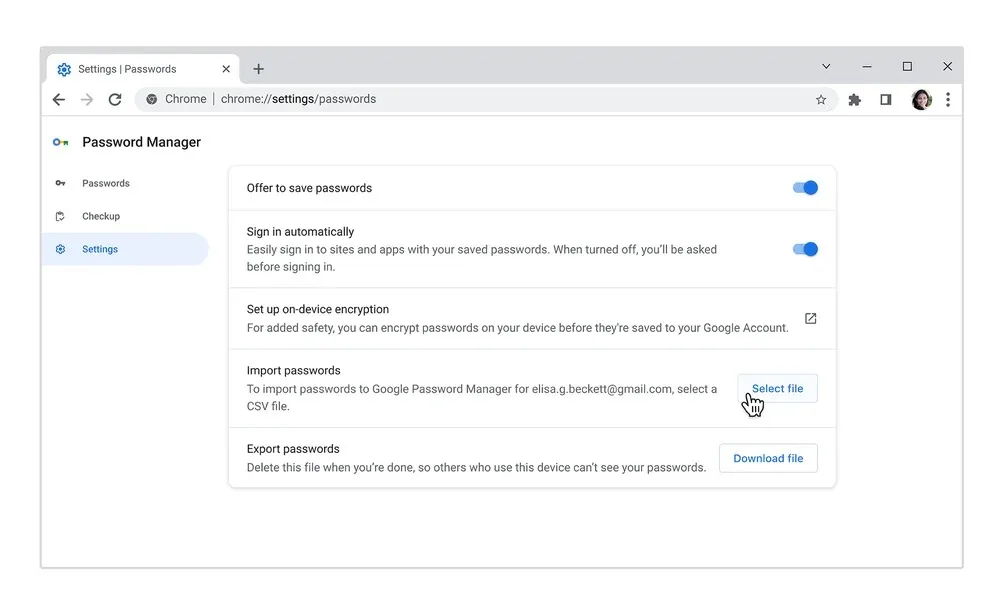 4 Password Manager UI Import P jpg