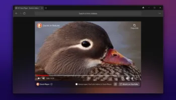 DDG Windows Duck Player
