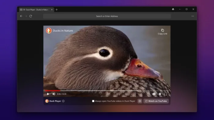 Le navigateur Web DuckDuckGo est désormais disponible pour les PC sous Windows