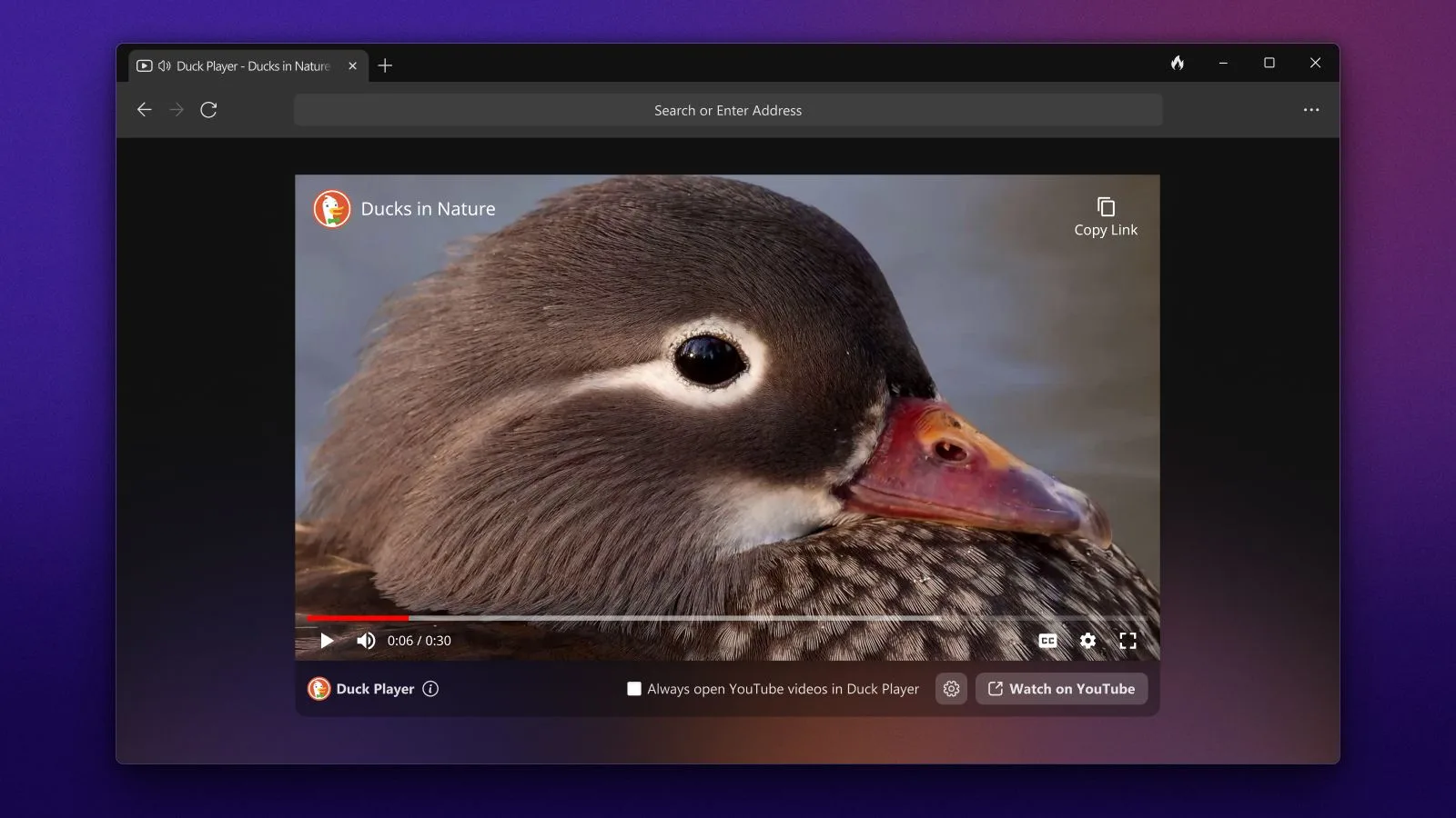 DDG Windows Duck Player jpg