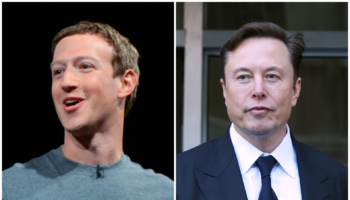 Zuckerberg Musk Fight