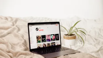 collabstr UnP8n1o2MMk unsplash