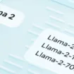Next generation of Llama 2 AI he 1