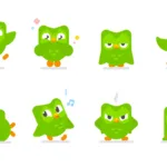 Many faces of Duo