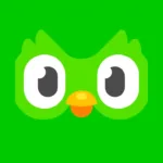 duolingo generic hero