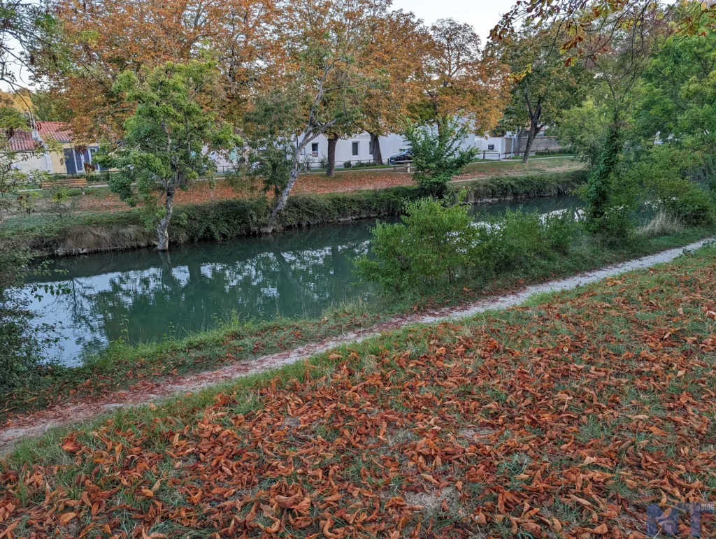 Pixel 8 Pro P 11