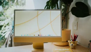 jay wennington n0nbOyb2XcE unsplash