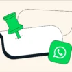WhatsApp Pinned Messages Editori