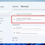 wu recovery option