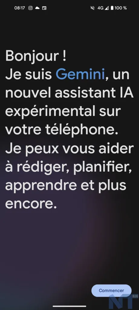 Google Gemini 7