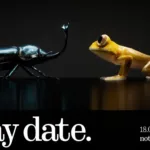 Nothing Ear 3 announcement