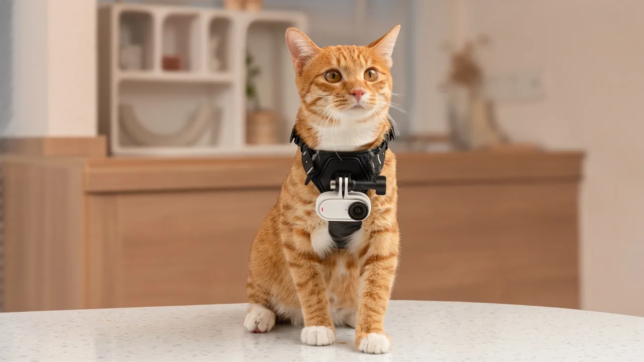 Insta360 GO 3S : La nouvelle caméra d’action avec vidéo 4K 50 Cat 02 jpg