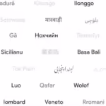 google translate 2024 06 ea9e4e9