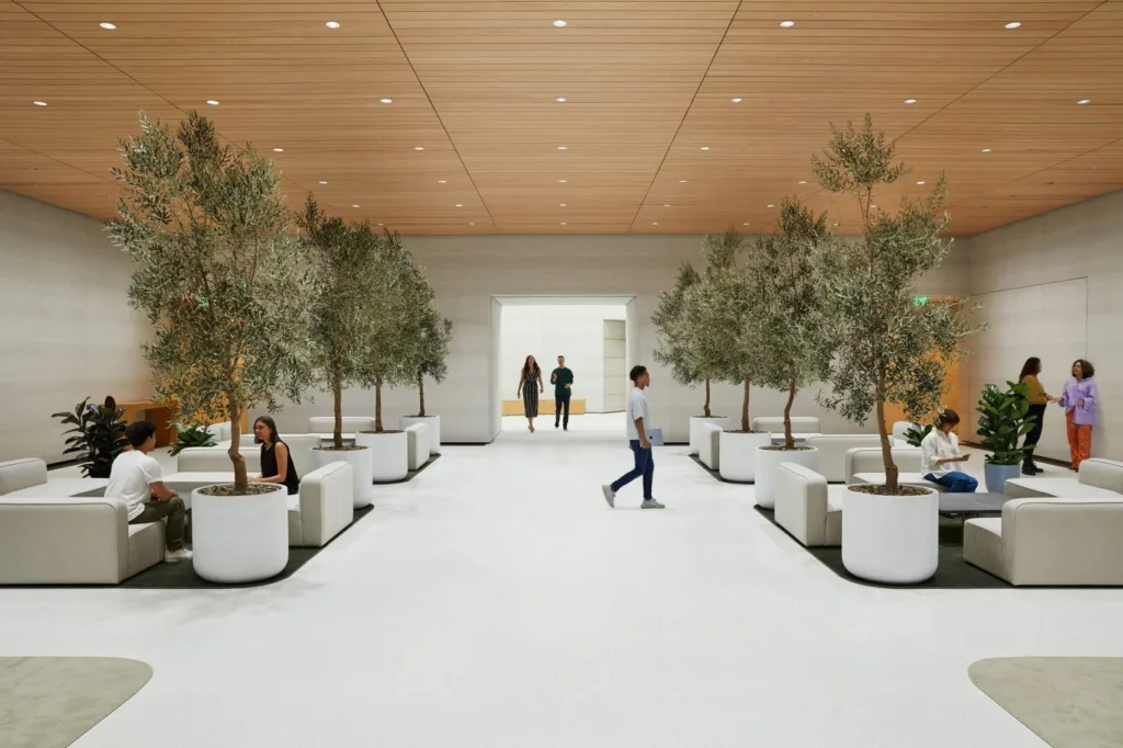 the observatory apple park calif 3
