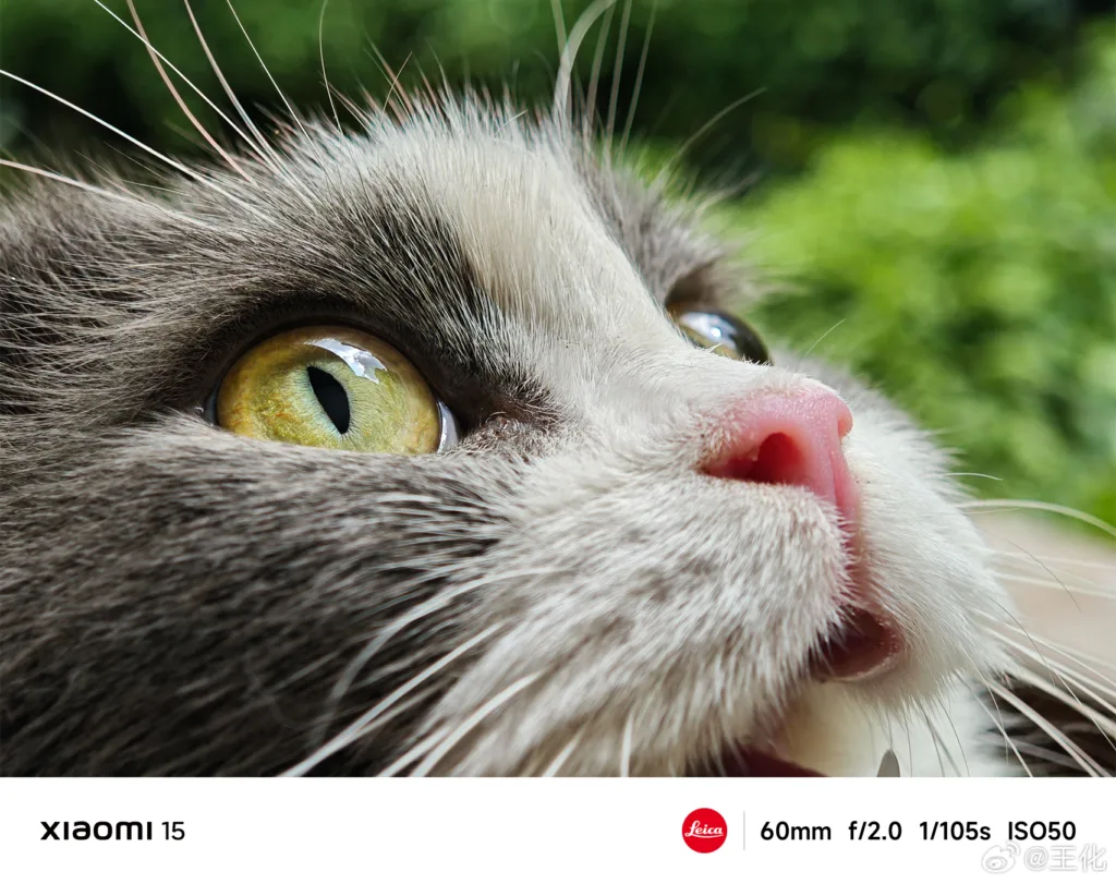 Xiaomi 15 et 15 Pro : Performances photographiques révélées en images ! 67 4067dc9bly1huzoy9q58ij21bd11ie82