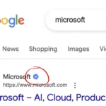 Google Search verified blue chec