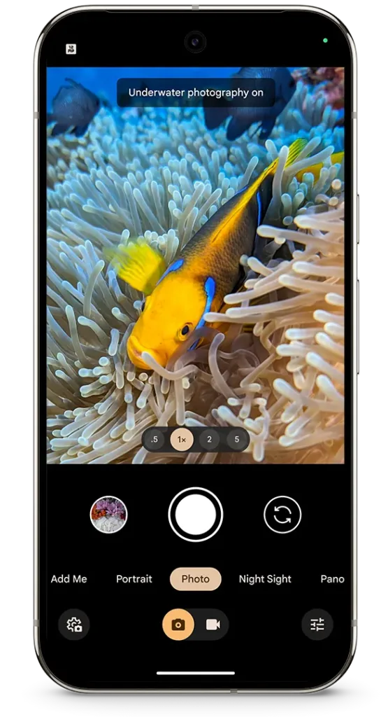 Pixel Drop d'octobre 2024 : Google Pixel se met à jour en beauté ! 52 Pixel 9 Pro Underwater Images