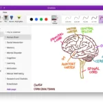 microsoft one note examples