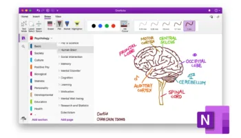 OneNote : Plus qu'un carnet de notes, un véritable espace de travail pour vos recherches