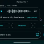 Google Chat voice messages Gmail