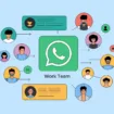 WhatsApp : Des icônes colorées pour identifier vos contacts et groupes