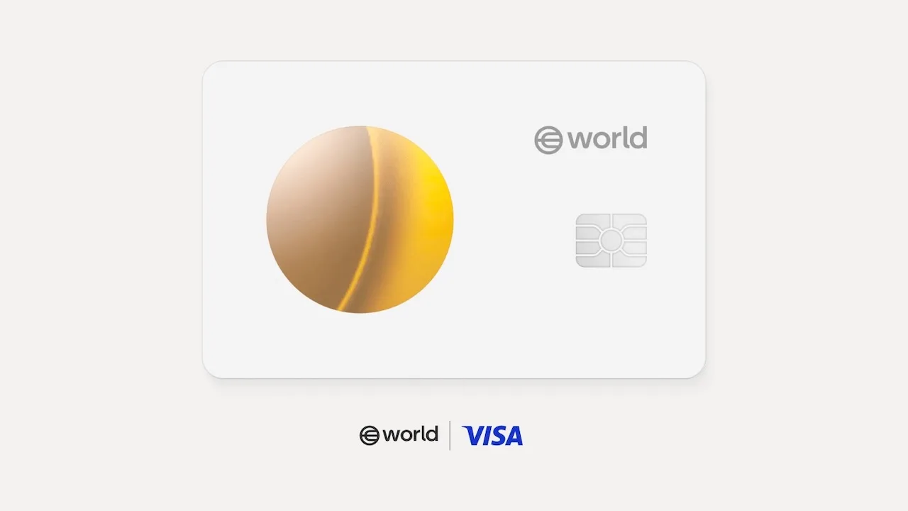 VISA Partnership Visual Card