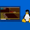 Build 2025 : Microsoft aime Linux ? WSL passe en open source sur GitHub !