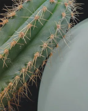 GuXIGkLXAAA1MQw GuXIGkLXAAA1MQw