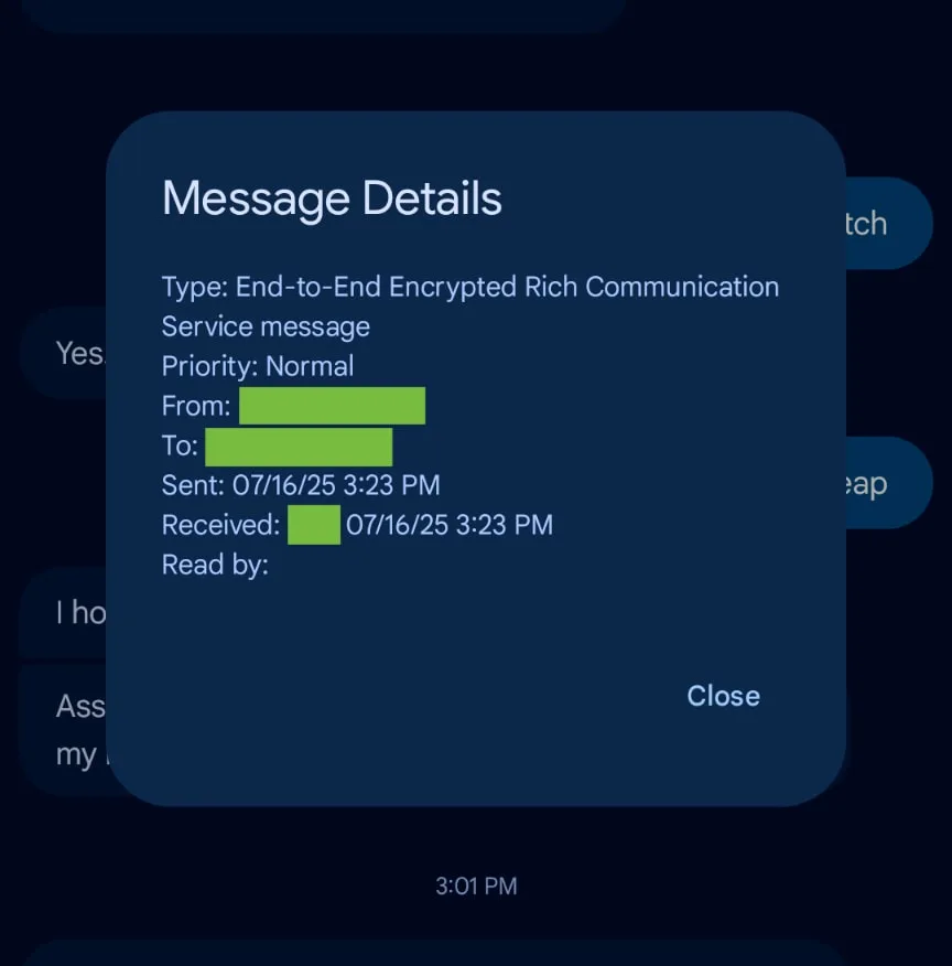 Google Messages Details old 2